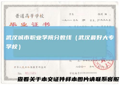 武汉城市职业学院分数线（武汉最好大专学校）