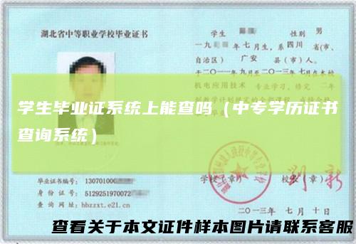 学生毕业证系统上能查吗(中专学历证书查询系统)