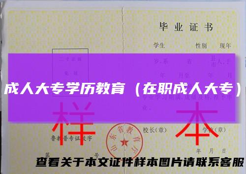 成人大专学历教育（在职成人大专）