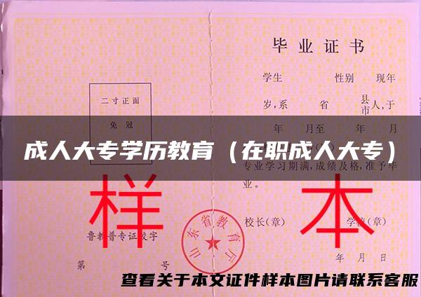 成人大专学历教育（在职成人大专）