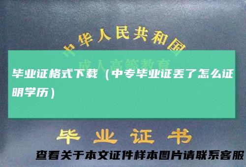 毕业证格式下载（中专毕业证丢了怎么证明学历）
