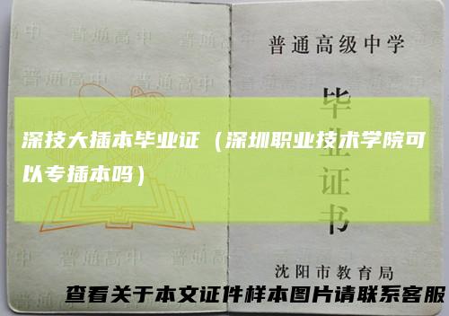 深技大插本毕业证（深圳职业技术学院可以专插本吗）