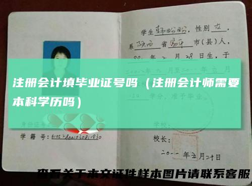 注册会计填毕业证号吗（注册会计师需要本科学历吗）