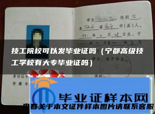 技工院校可以发毕业证吗（宁都高级技工学校有大专毕业证吗）