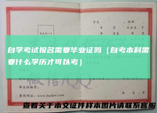 自学考试报名需要毕业证吗（自考本科需要什么学历才可以考）