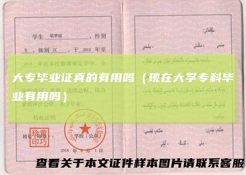 大专毕业证真的有用吗（现在大学专科毕业有用吗）