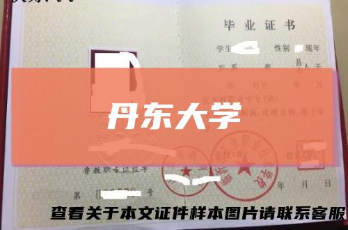 丹东大学