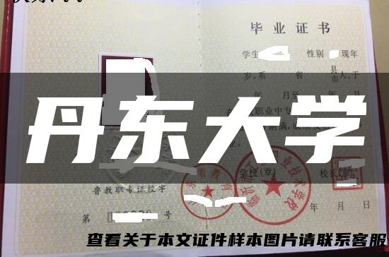 丹东大学