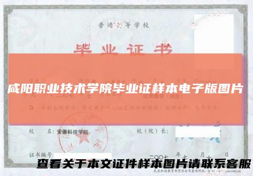 咸阳职业技术学院毕业证样本电子版图片