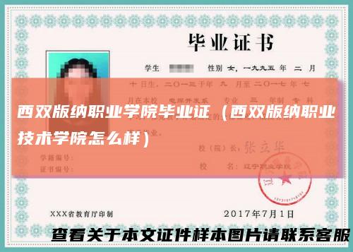 西双版纳职业学院毕业证（西双版纳职业技术学院怎么样）