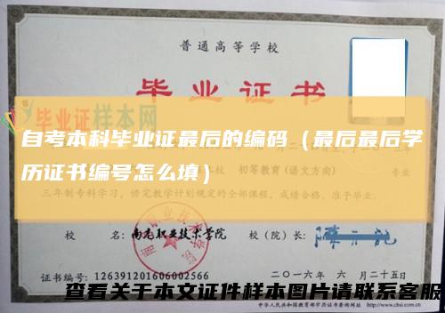 自考本科毕业证最后的编码(最后最后学历证书编号怎么填)