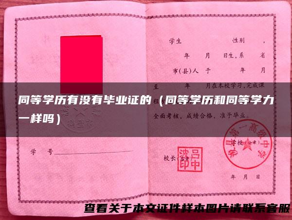 同等学历有没有毕业证的（同等学历和同等学力一样吗）