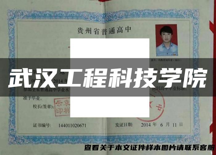 武汉工程科技学院