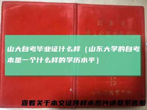 山大自考毕业证什么样（山东大学的自考本是一个什么样的学历水平）
