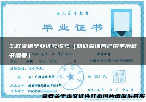 怎样查询毕业证号编号（如何查询自己的学历证书编号）
