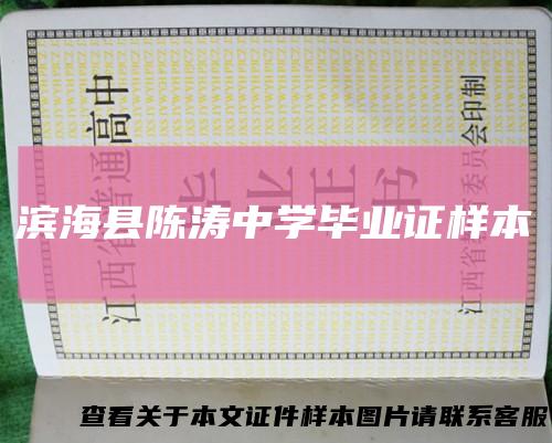 滨海县陈涛中学毕业证样本