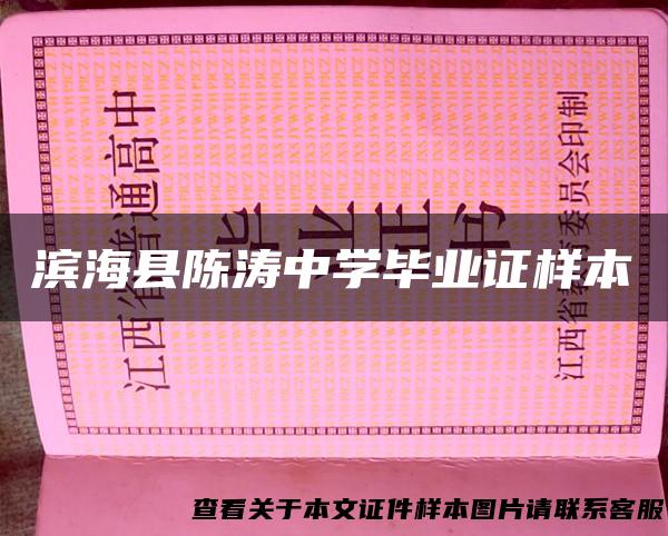 滨海县陈涛中学毕业证样本