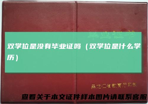 双学位是没有毕业证吗（双学位是什么学历）