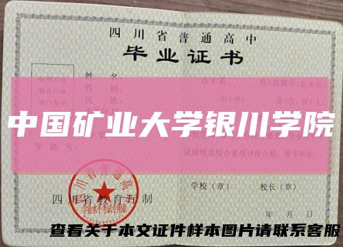 中国矿业大学银川学院