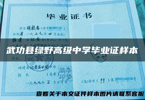 武功县绿野高级中学毕业证样本