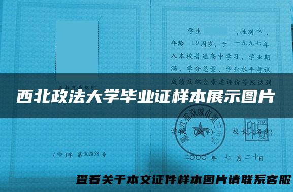 西北政法大学毕业证样本展示图片