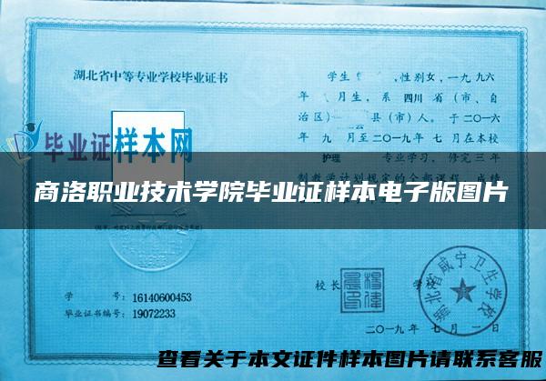 商洛职业技术学院毕业证样本电子版图片