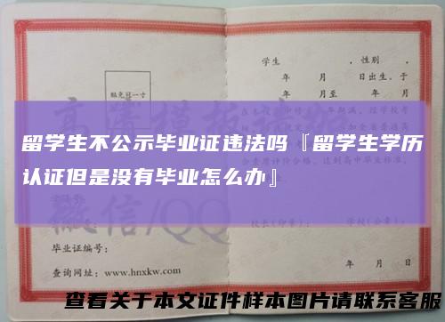 留学生不公示毕业证违法吗『留学生学历认证但是没有毕业怎么办』