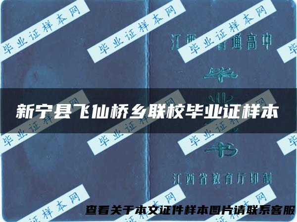 新宁县飞仙桥乡联校毕业证样本