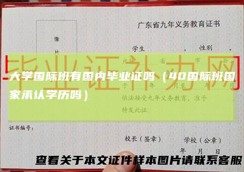 大学国际班有国内毕业证吗（40国际班国家承认学历吗）
