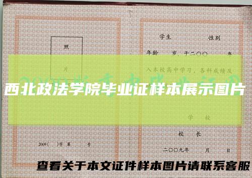 西北政法学院毕业证样本展示图片