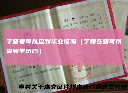 学籍号可以查到毕业证吗（学籍在籍可以查到学历吗）