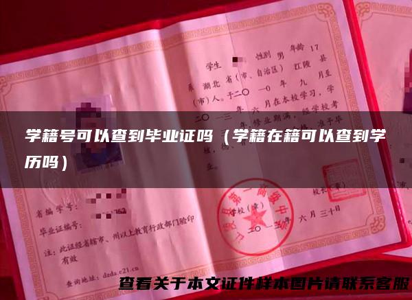 学籍号可以查到毕业证吗（学籍在籍可以查到学历吗）