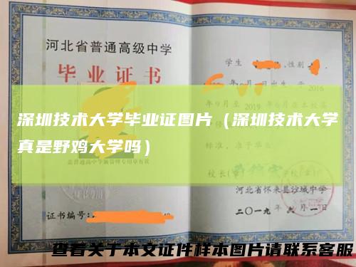 深圳技术大学毕业证图片（深圳技术大学真是野鸡大学吗）