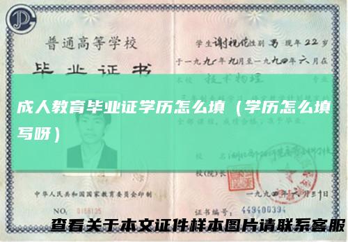 成人教育毕业证学历怎么填（学历怎么填写呀）