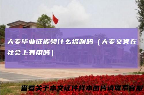 大专毕业证能领什么福利吗（大专文凭在社会上有用吗）