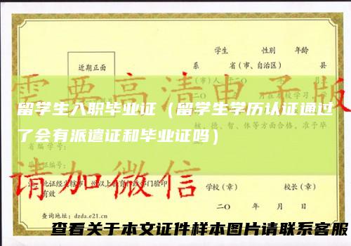 留学生入职毕业证（留学生学历认证通过了会有派遣证和毕业证吗）