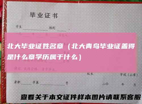 北大毕业证姓名章（北大青鸟毕业证盖得是什么章学历属于什么）