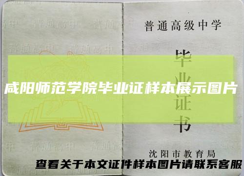 咸阳师范学院毕业证样本展示图片