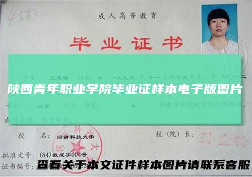 陕西青年职业学院毕业证样本电子版图片
