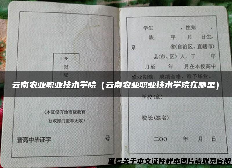 云南农业职业技术学院（云南农业职业技术学院在哪里）