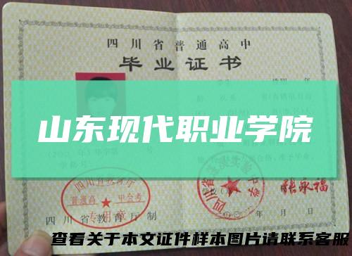 山东现代职业学院