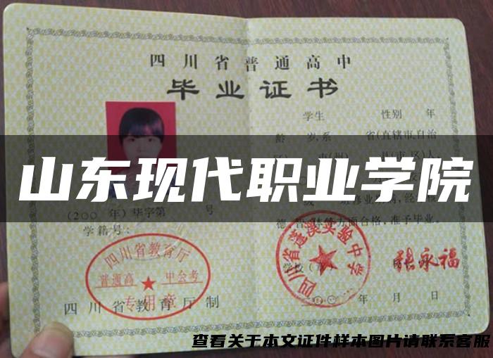 山东现代职业学院