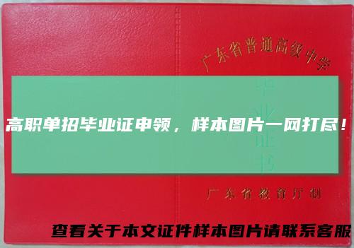 高职单招毕业证申领，样本图片一网打尽！