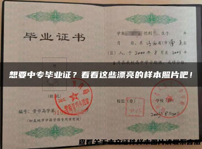 想要中专毕业证？看看这些漂亮的样本照片吧！