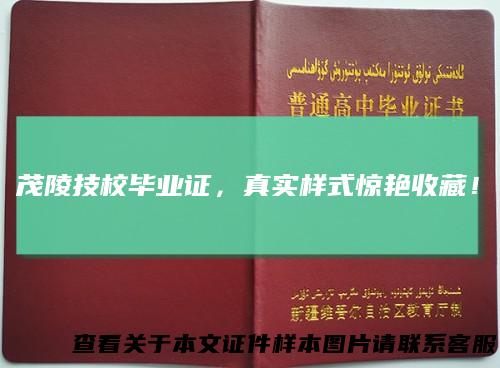 茂陵技校毕业证，真实样式惊艳收藏！