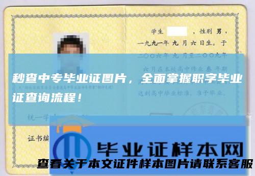 秒查中专毕业证图片，全面掌握职字毕业证查询流程！