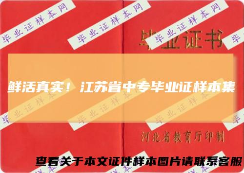 鲜活真实！江苏省中专毕业证样本集