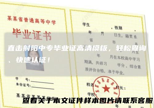 直击射阳中专毕业证高清模板，轻松查询、快速认证！