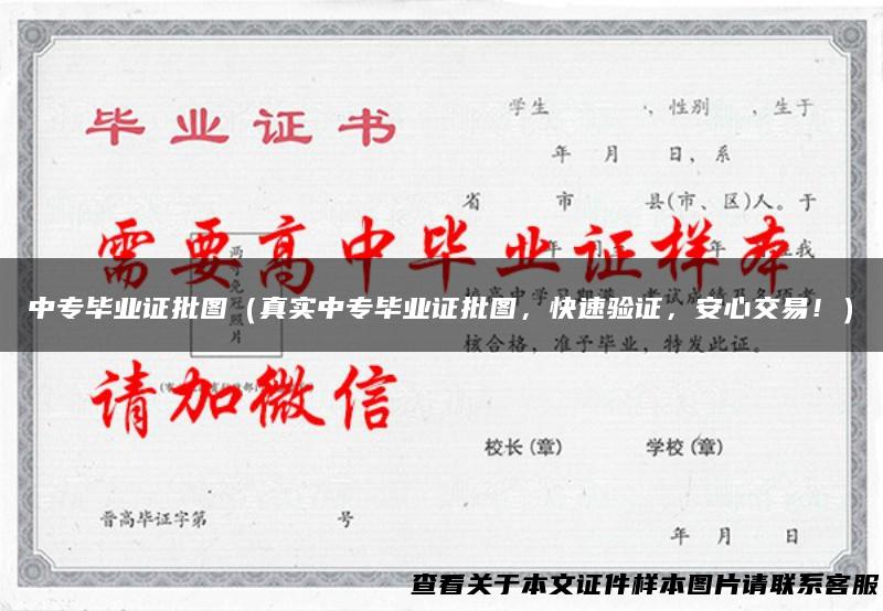 中专毕业证批图（真实中专毕业证批图，快速验证，安心交易！）