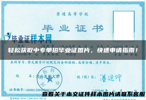 轻松获取中专单招毕业证图片，快速申请指南！